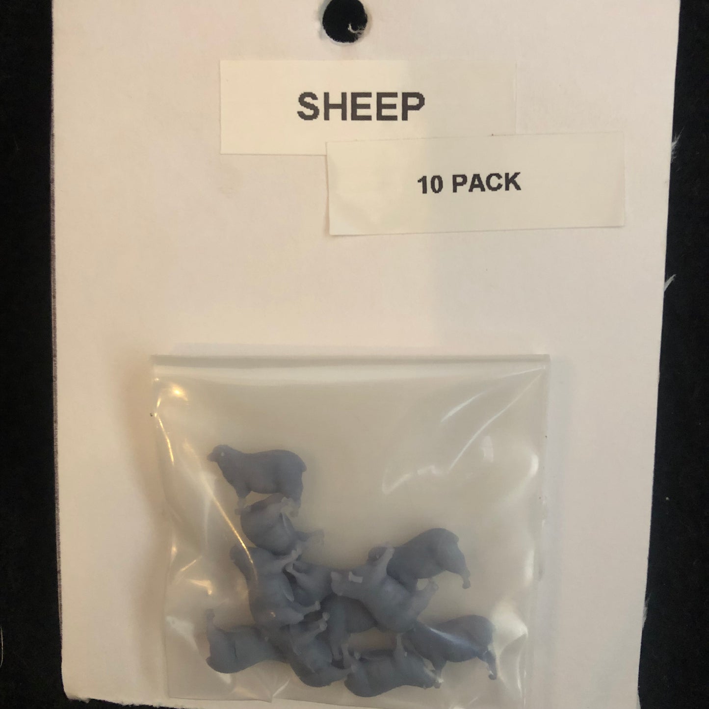 Sheep